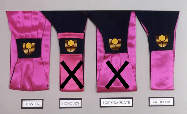 curtin's academic gowns